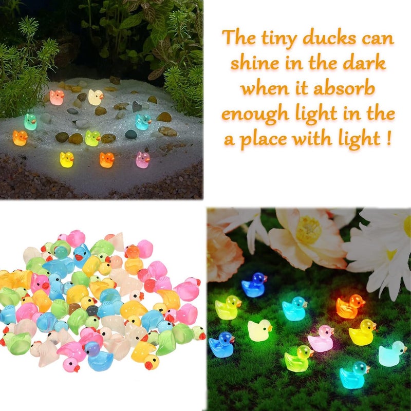 Cidinge 100 Pcs Luminous Mini Resin Ducks Tiny Glow in The Dark Duck Micro Garden Landscape Potted Plants Decoration Aquarium Dollhouse Ornament for Family Crafts Decor - Image 5